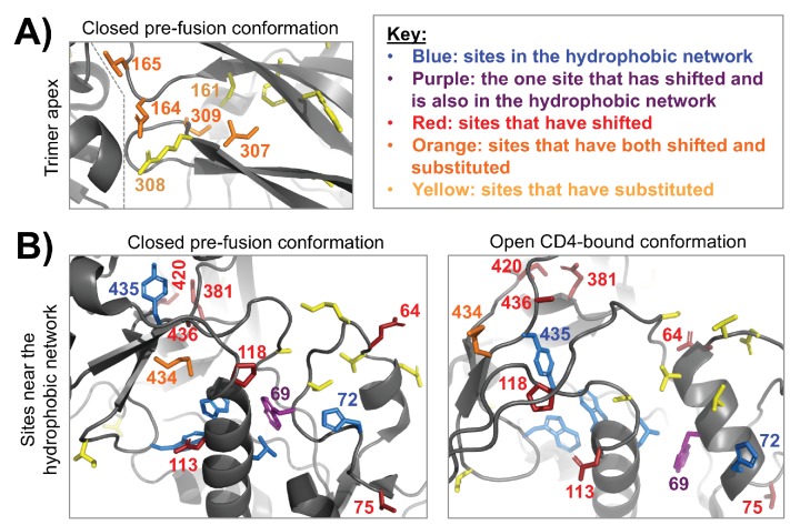 Figure 7—figure supplement 2.