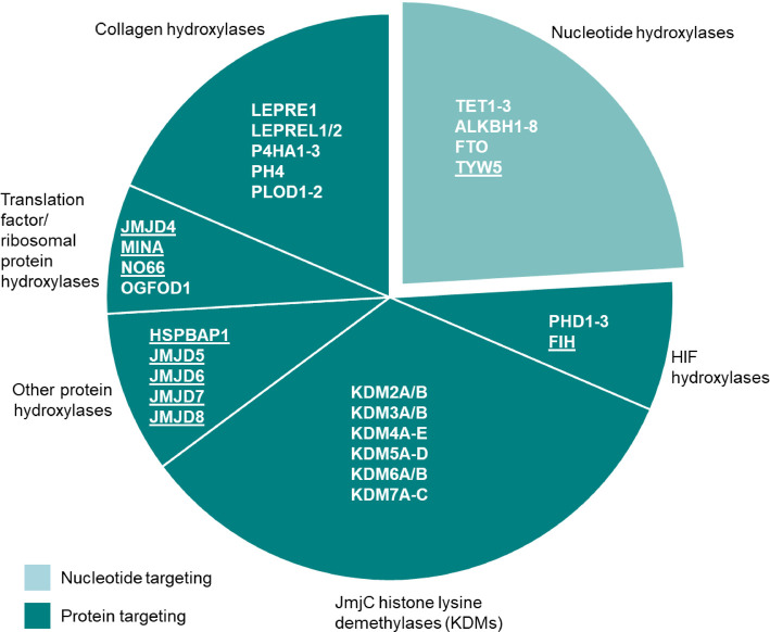 Figure 2.