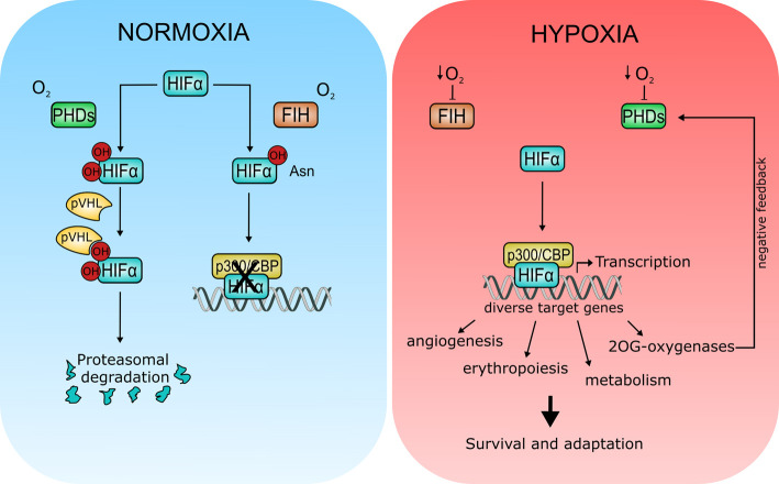 Figure 3.