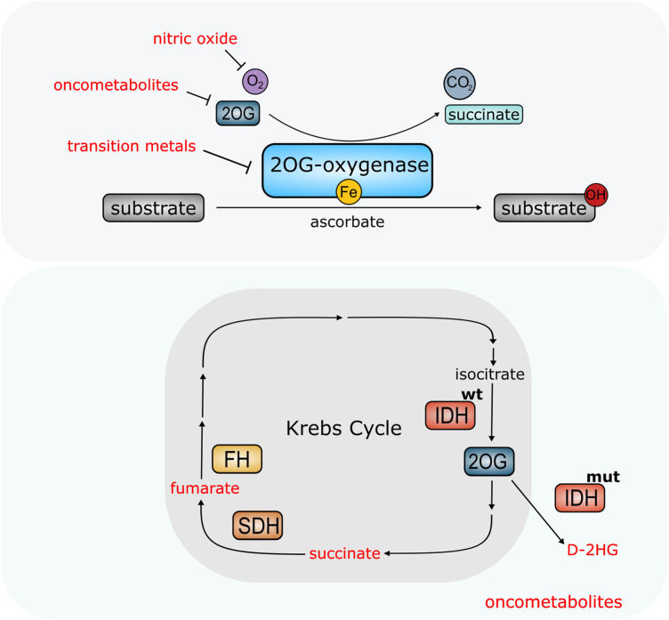 Figure 4.