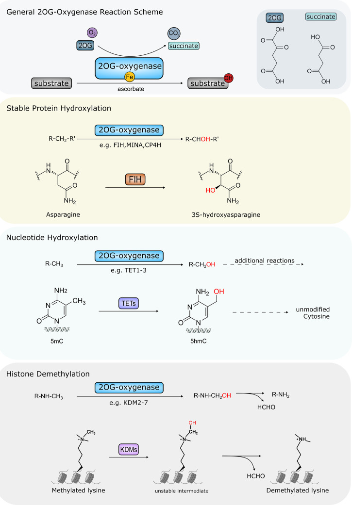 Figure 1.