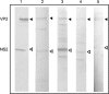 FIG 6