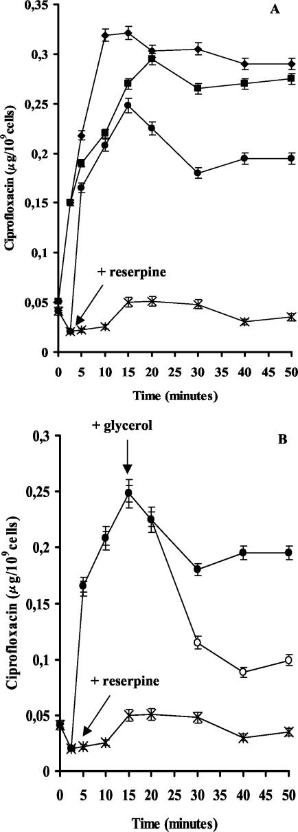 FIG.2.