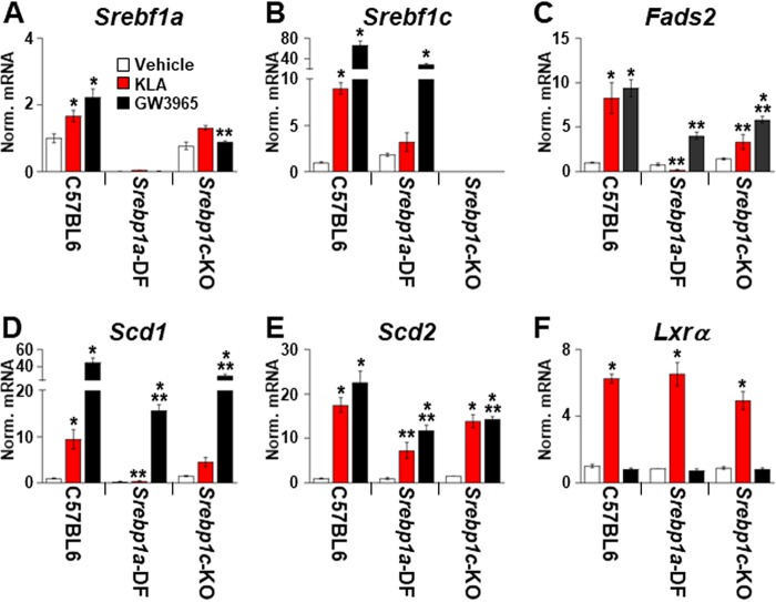 FIG 6