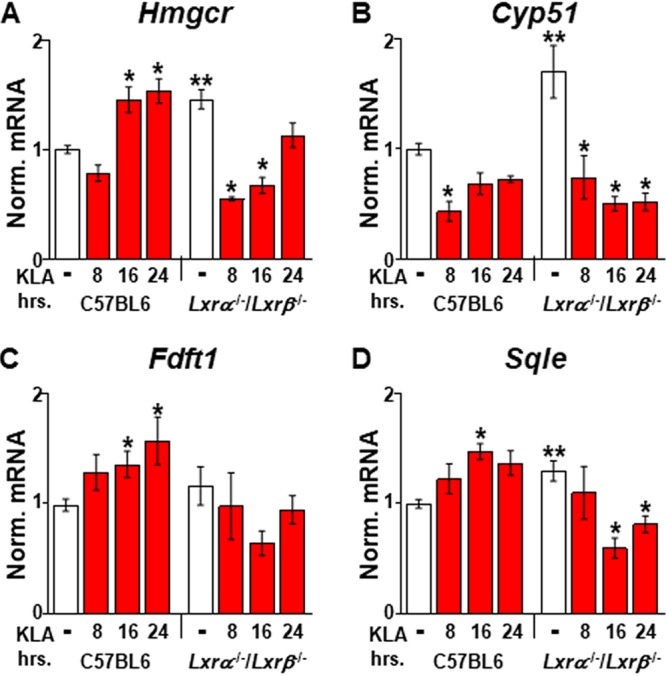 FIG 8