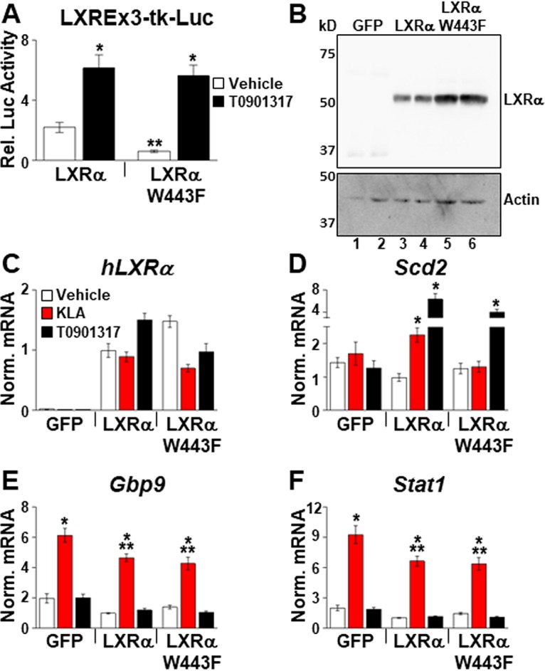 FIG 12