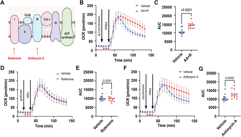 Figure 7