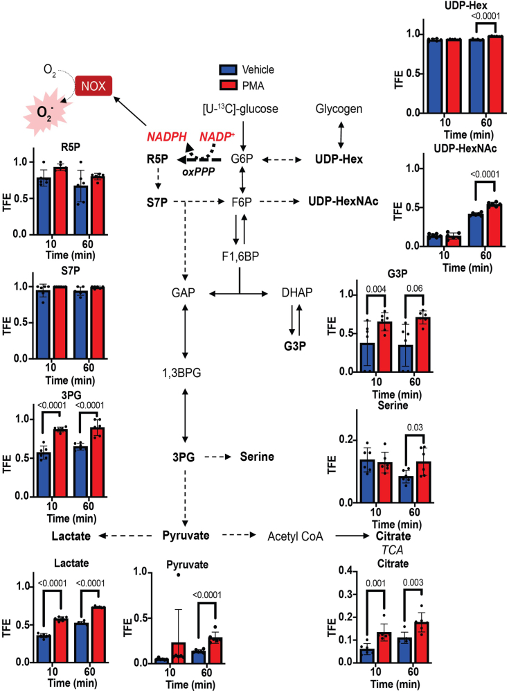 Figure 3