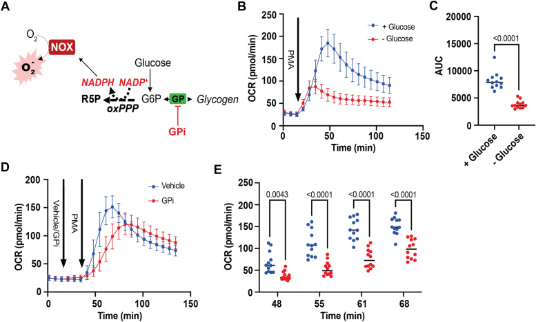 Figure 4