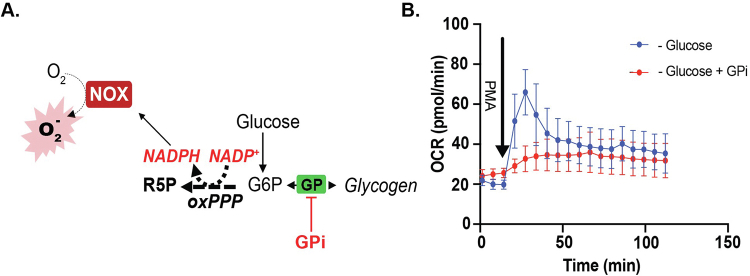 Supplemental Fig. S3