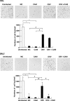 Fig 7