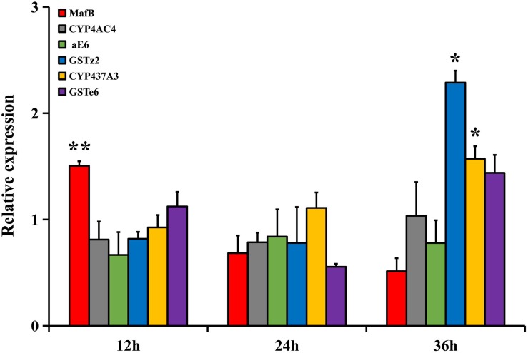 FIGURE 3