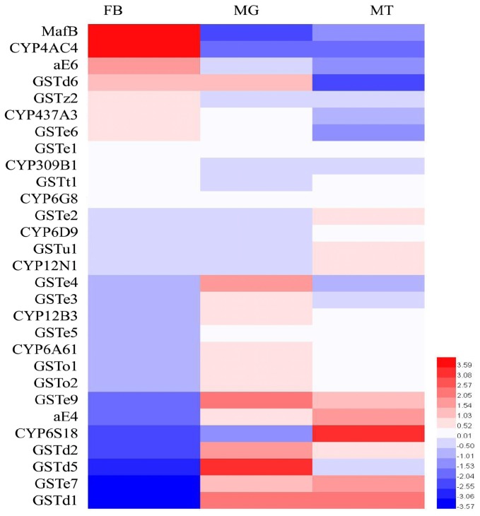 FIGURE 2