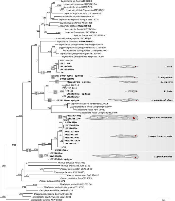 Fig. 2