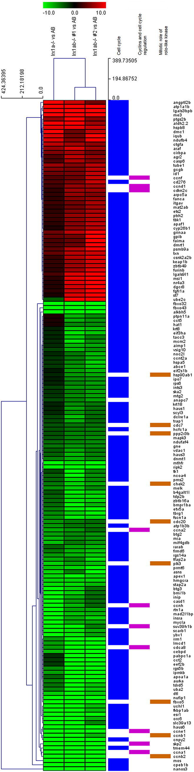 Supplementary Fig. 1