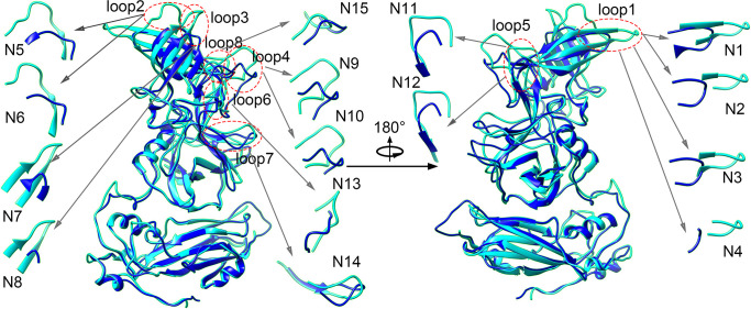 Fig 1