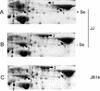 FIG. 4.