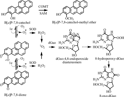 Scheme 1