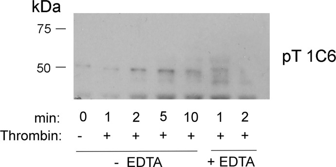 Figure S1.