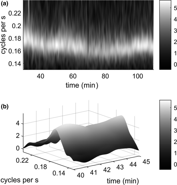 FIGURE 1