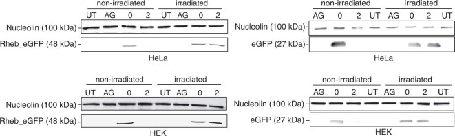 Extended Data Fig. 4