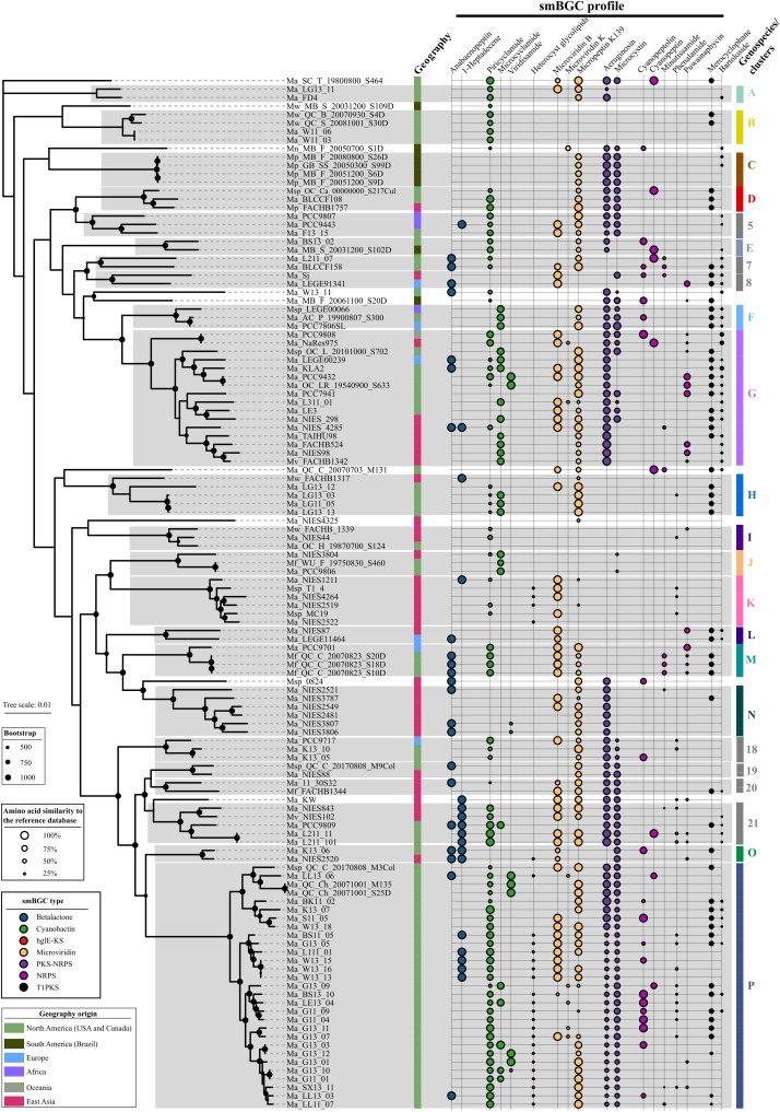 Fig. 3.