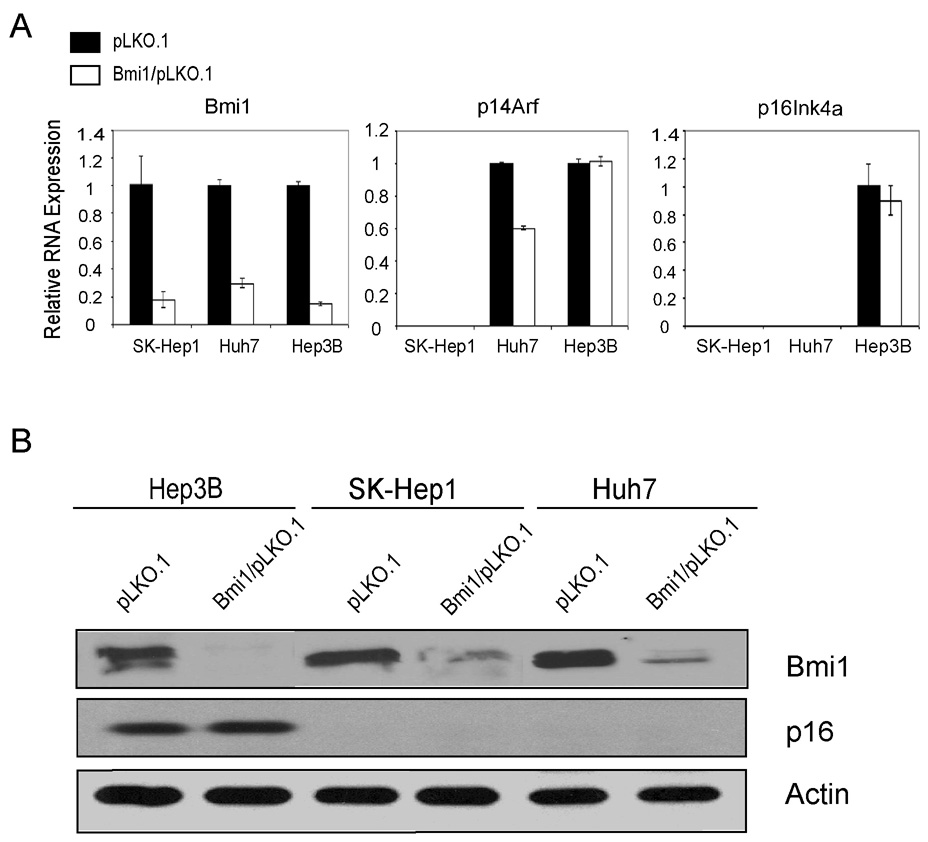 Figure Two