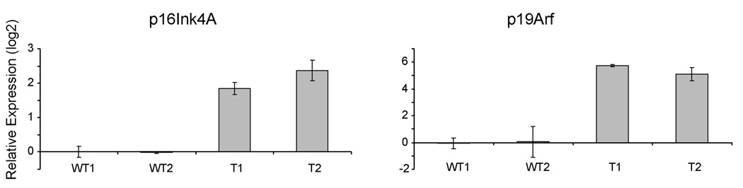 Figure Six