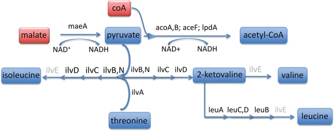 Fig. 6.