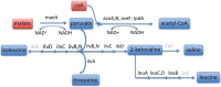 <sc>Fig</sc>. 6.