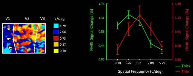 Figure 11.