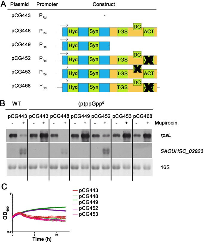 Fig 6