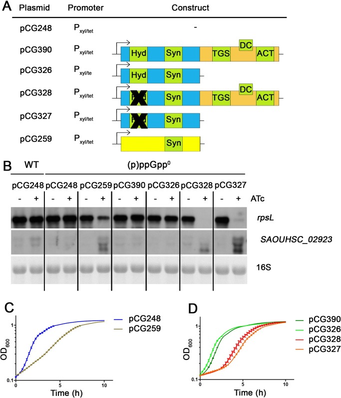 Fig 2