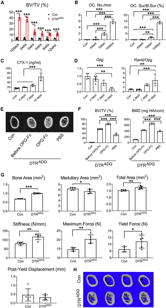 Fig 4.