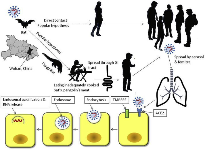 Figure 1