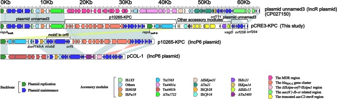 FIG 2