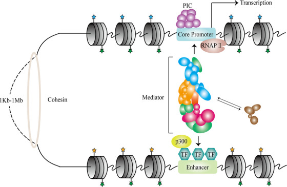 FIGURE 3