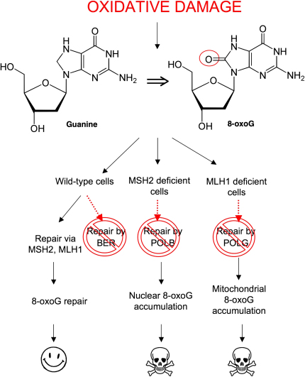 Figure 7