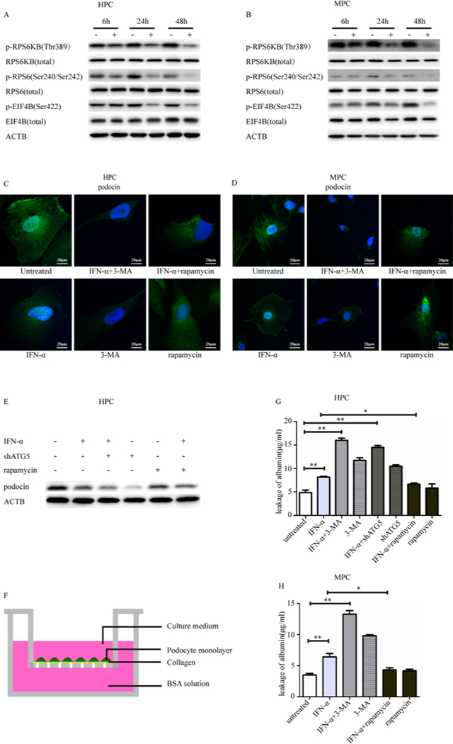 Figure 4: