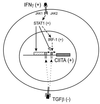FIG. 8