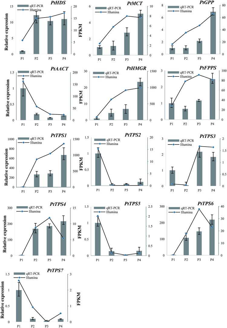 Fig 6