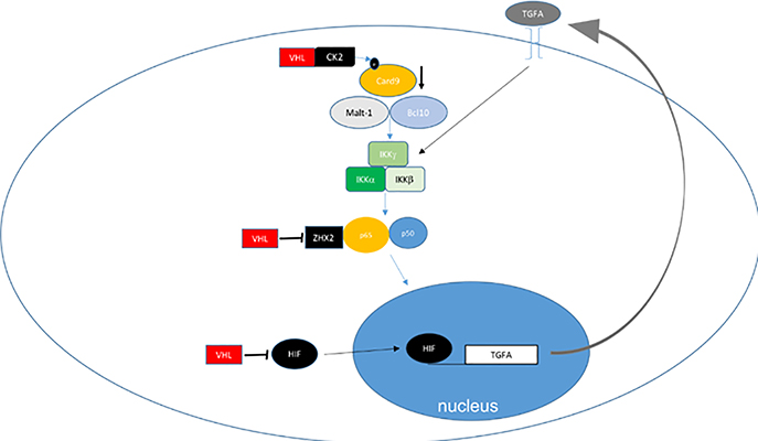 Figure 3: