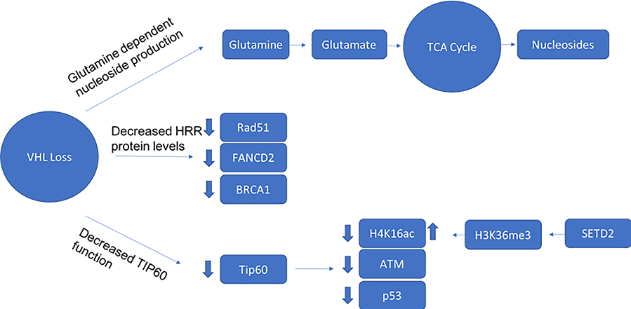 Figure 5: