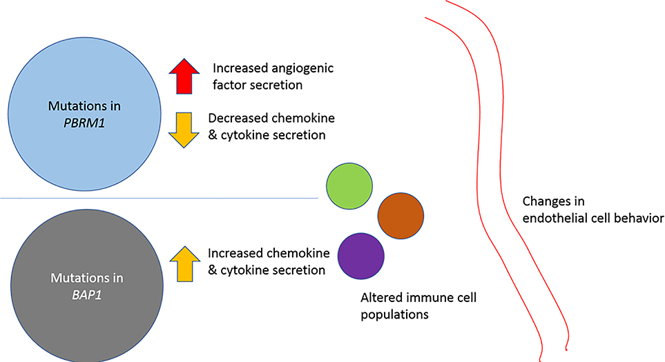 Figure 6: