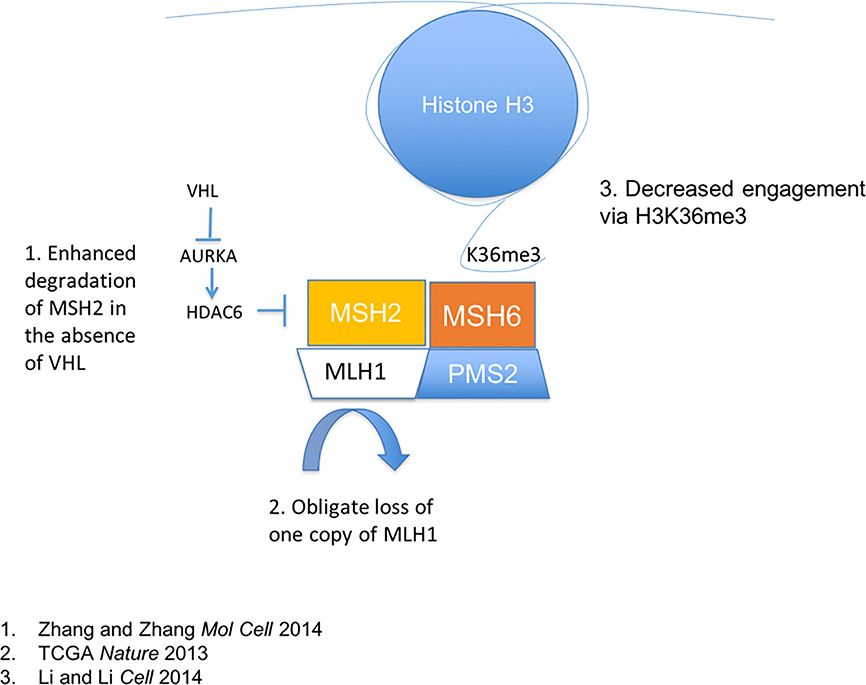 Figure 4: