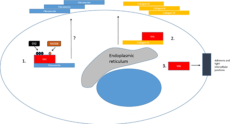 Figure 3: