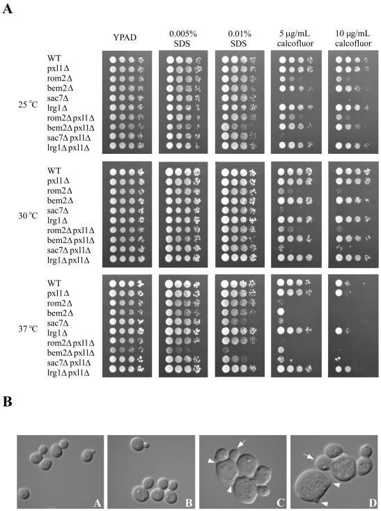 Figure 7.