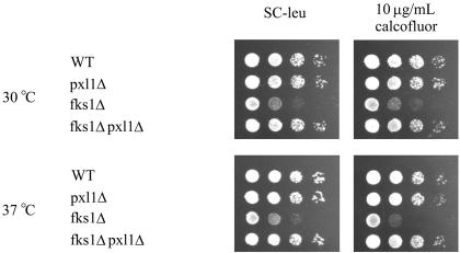 Figure 6.