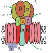 Fig. 2