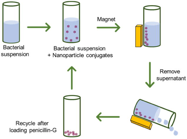 Scheme 3